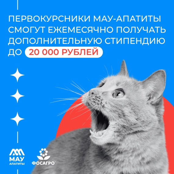 Дополнительные стипендии для абитуриентов, успешно сдавших ЕГЭ!.